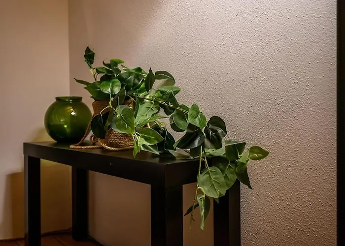 Ab - Via Del Carro 11 *