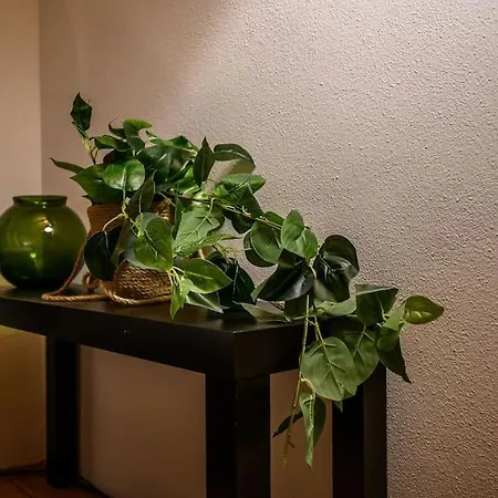 Ab - Via Del Carro 11 *